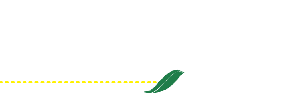 天然由来の北海道産クマイザサを使用した笹茶