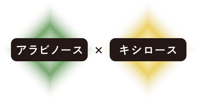 笹茶に含まれる小腸の酵素の抑制に関わるアラビノースと、抗酸化作用を持つキシロースのイメージがグラデーションとテキストで表されている